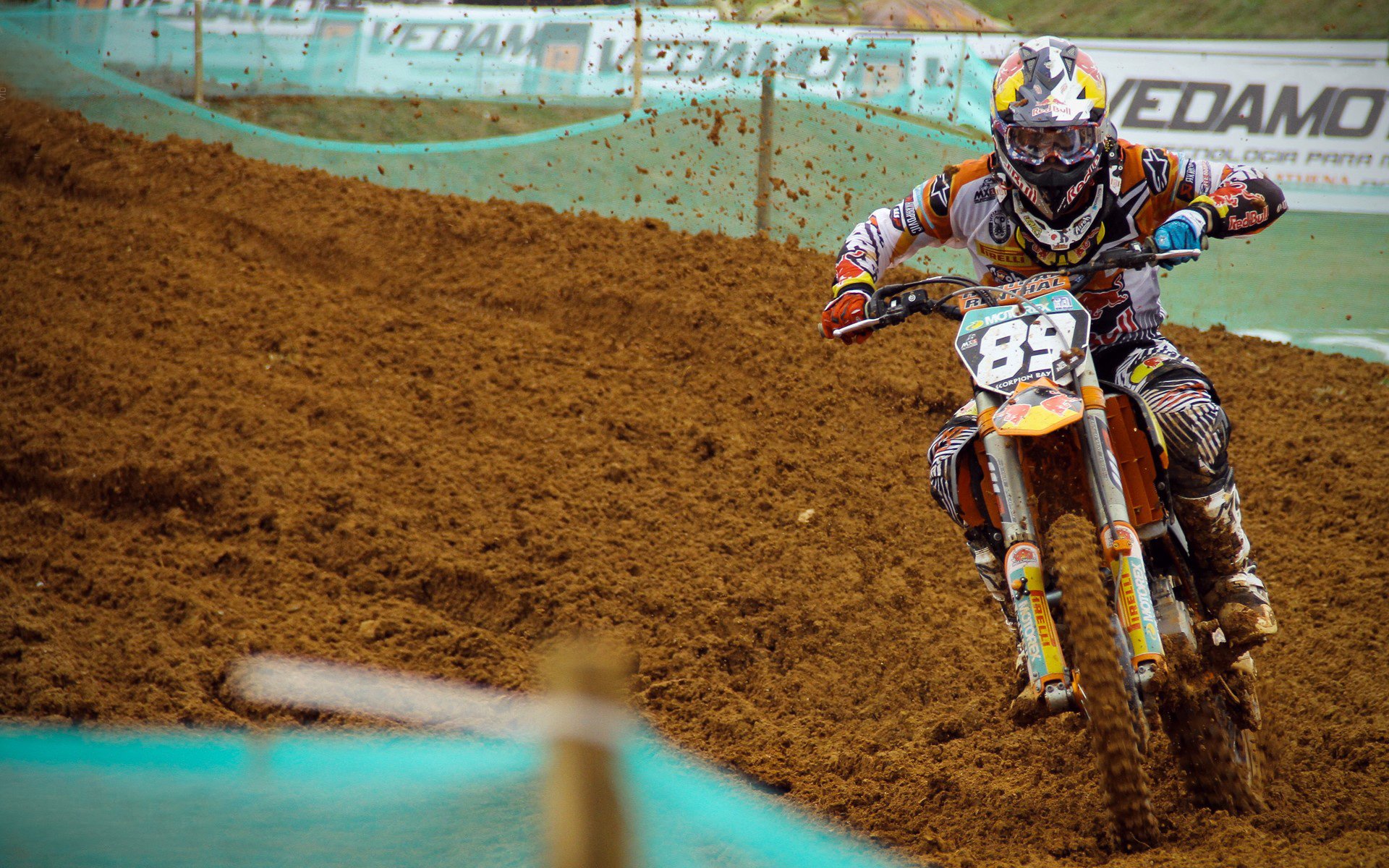 公牛主帅参加人工智能与体育高峰论坛，公牛队创始人