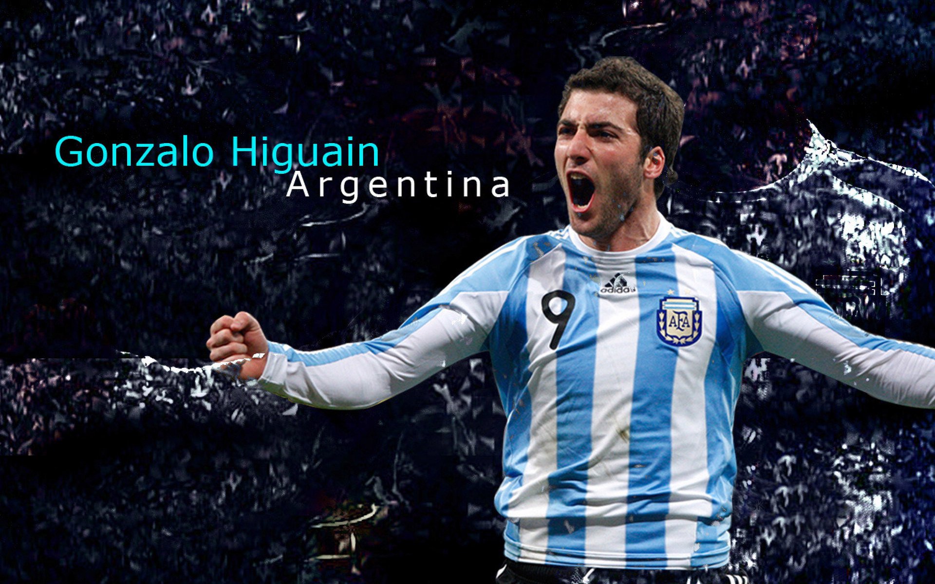 篮球明星效应促进赛事观众增长，篮球明星知识